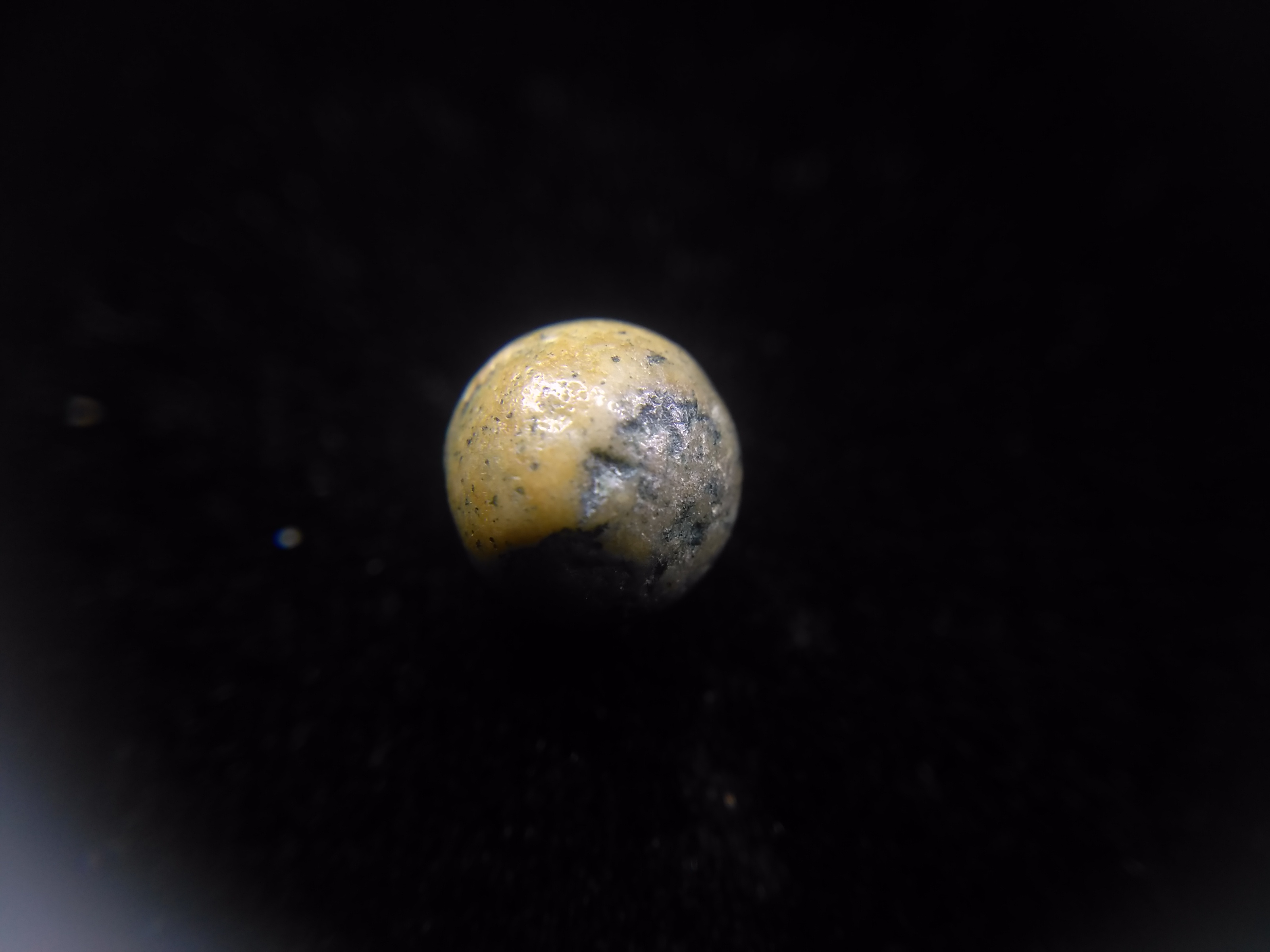 舍利